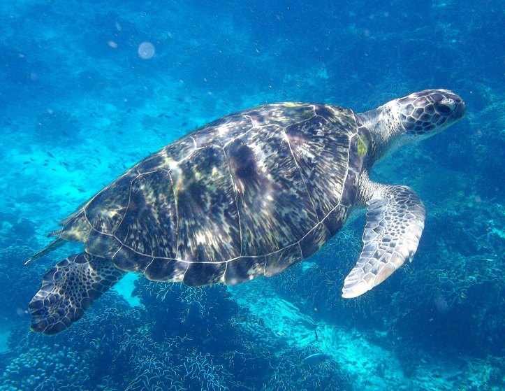 324 KHAO LAK RETOUCHER