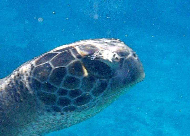 326 KHAO LAK RETOUCHER