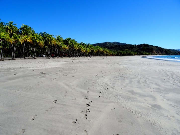 13 - Playa Carrillo 1