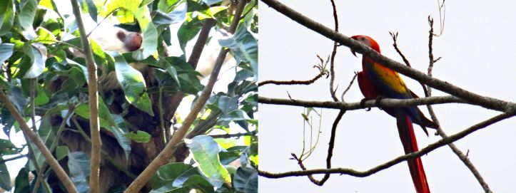 19 - Punta Uvita - 20.4