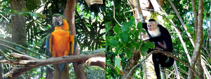 19 - Punta Uvita - 20.5