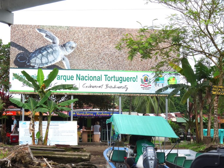 4 - Tortuguero 24