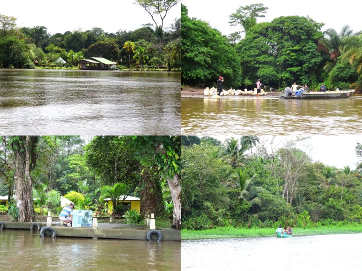 4 - Tortuguero 43