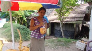 Sri Lanka By Gael Besseau