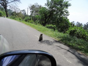 Sri Lanka By Gael Besseau