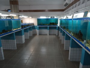 Porto de galinhas by Gaël Besseau