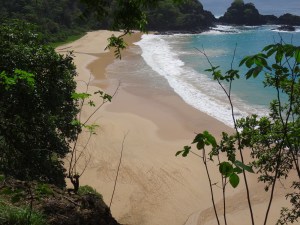 Fernando de noronha by Gaël Besseau