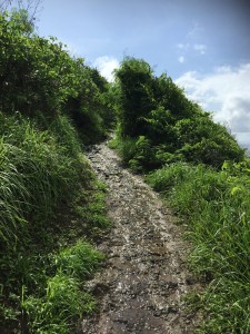 Fernando de noronha by Gaël Besseau