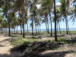 Porto de galinhas by Gaël Besseau