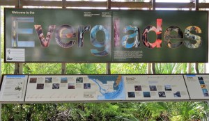 Floride les everglades By Gael Besseau