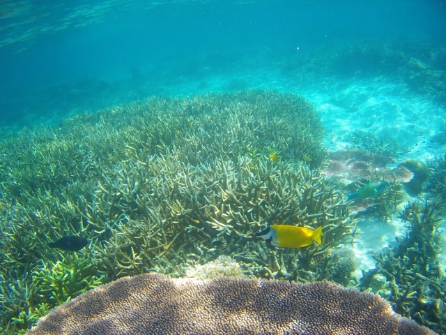Malaisie Tioman Island by Gael Besseau