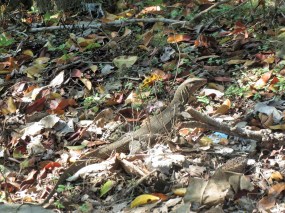 Malaisie les îles perhentian by Gael Besseau