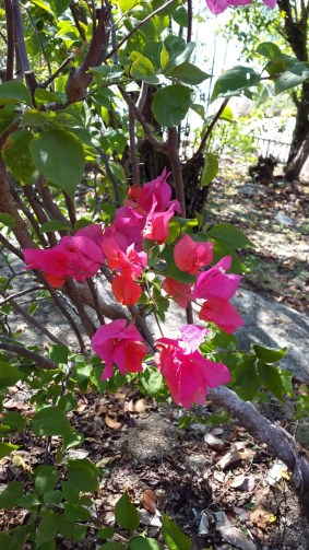 Malaisie les îles perhentian by Gael Besseau