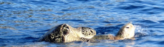 Malaisie les îles perhentian by Gael Besseau