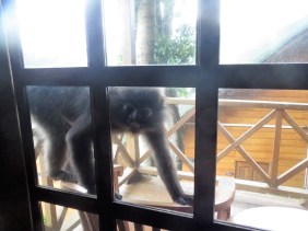 Malaisie les îles perhentian by Gael Besseau